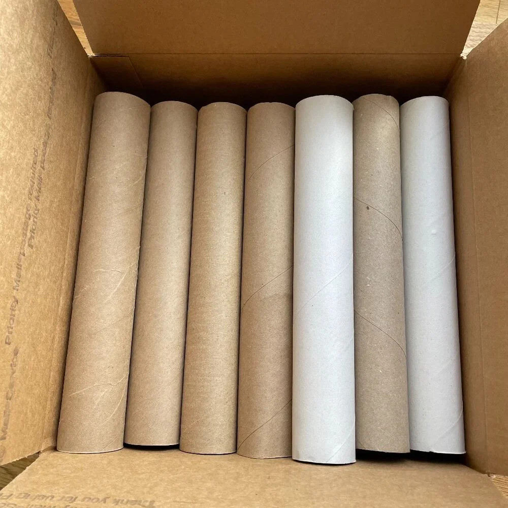 20 Empty Paper Towel Tubes Cardboard Tubes Craft Art Project School Camp Kids